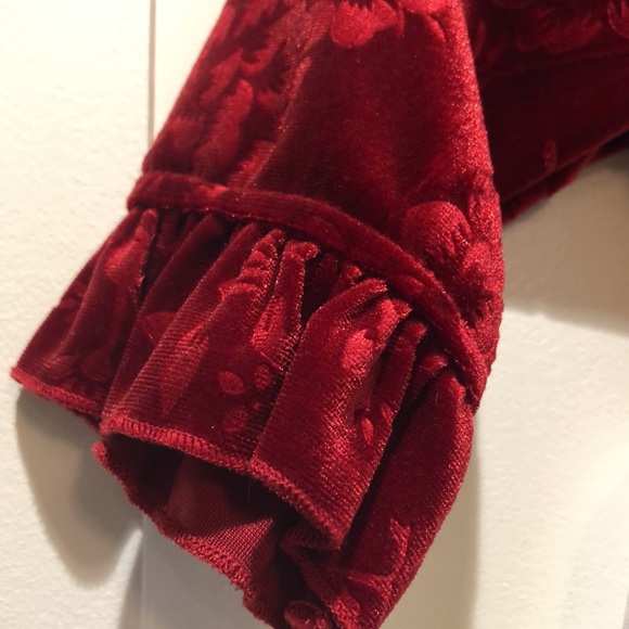 🥳Pastourelle velour and crinoline dress size 2T - Picture 4 of 8